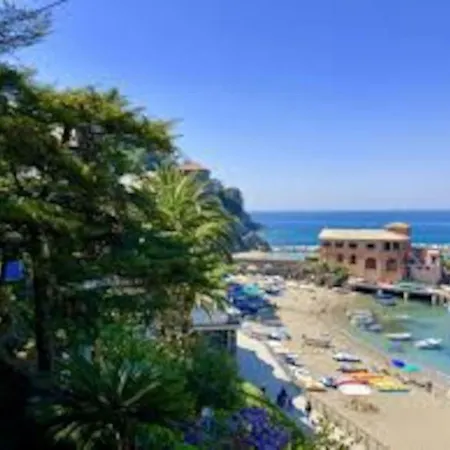 Mimosa 2 - Trilocale A 50 Mt Dal Mare *